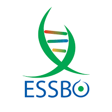 Logo annonceur